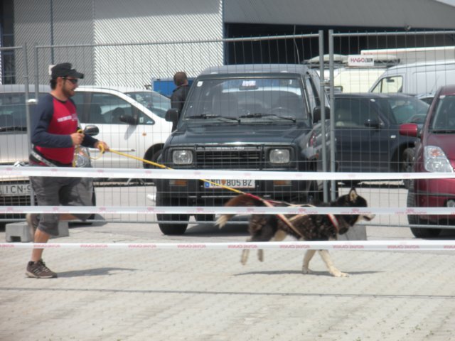 dscn2790.jpg