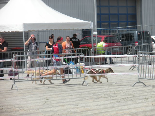 dscn2794.jpg