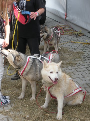 dscn2804.jpg