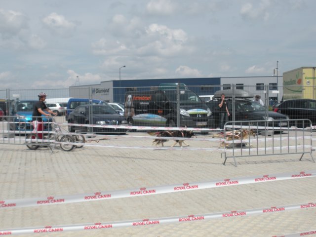 dscn2805.jpg