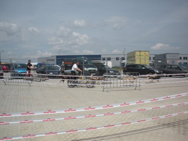 dscn2806.jpg