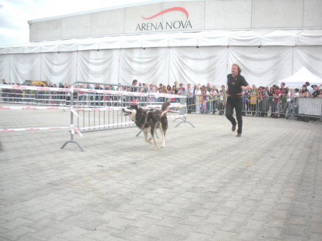 dscn2823.jpg