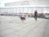 dscn2823_small.jpg