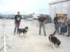dscn2836_small.jpg