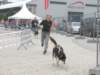 dscn2838_small.jpg
