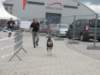 dscn2840_small.jpg