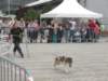 dscn2844_small.jpg