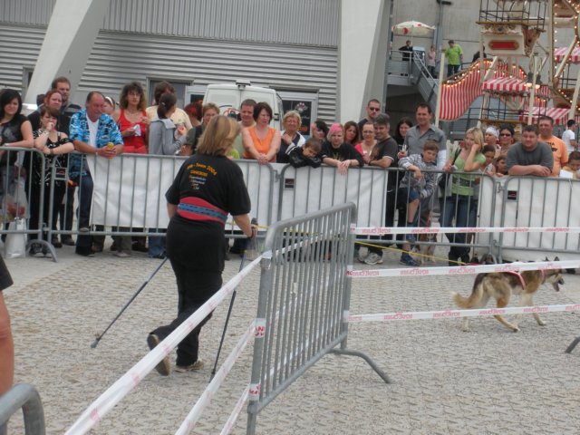dscn2845.jpg