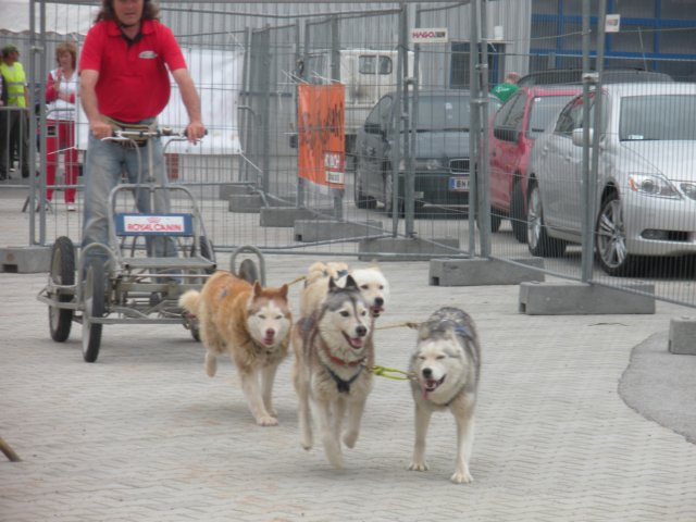 dscn2851.jpg
