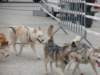 dscn2852_small.jpg