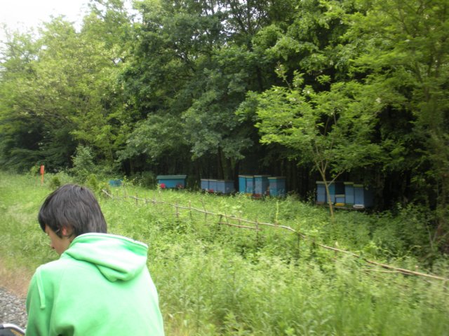 dscn2890.jpg