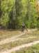 dscn0769_small.jpg