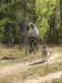 dscn0770_small.jpg