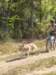 dscn0771_small.jpg
