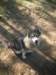 dscn0783_small.jpg