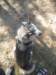 dscn0784_small.jpg