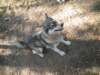 dscn0785_small.jpg