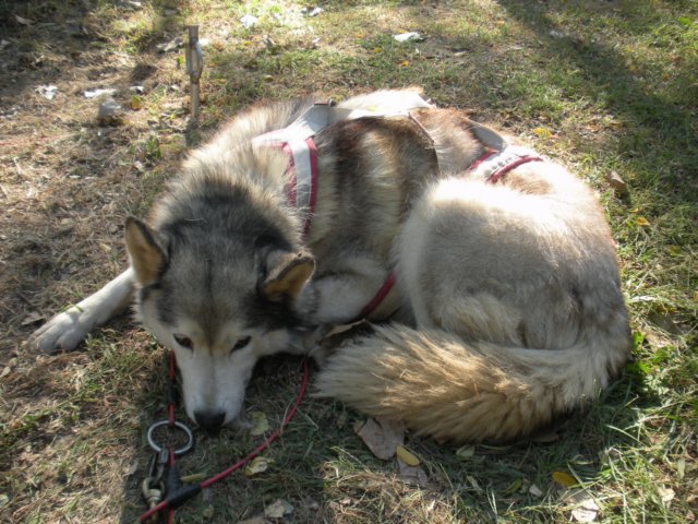 dscn0789.jpg
