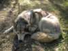dscn0789_small.jpg