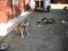 dscn0790_small.jpg