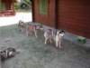 dscn0791_small.jpg