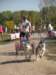 dscn0794_small.jpg