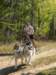 dscn0796_small.jpg