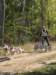 dscn0797_small.jpg