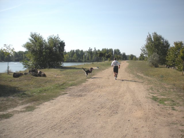 dscn0801.jpg