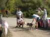 dscn0804_small.jpg