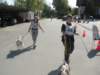 dscn0811_small.jpg