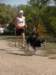 dscn0820_small.jpg