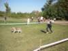 dscn0828_small.jpg