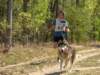 dscn0831_small.jpg