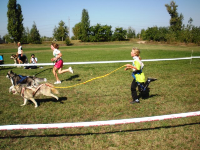 dscn0833.jpg