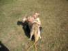 dscn0834_small.jpg