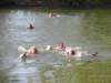 dscn0845_small.jpg
