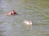 dscn0847_small.jpg