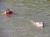 dscn0848_small.jpg