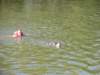 dscn0851_small.jpg