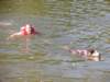 dscn0852_small.jpg