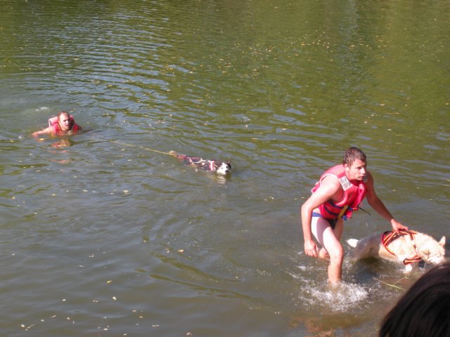 dscn0853.jpg