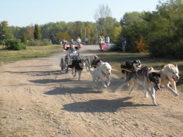 dscn0863.jpg