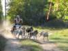 dscn0865_small.jpg