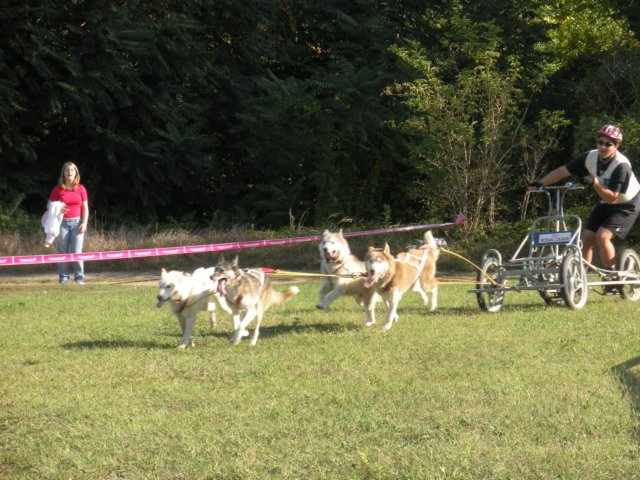 dscn0867.jpg
