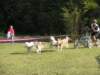 dscn0867_small.jpg