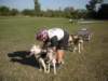 dscn0868_small.jpg