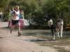 dscn0869_small.jpg