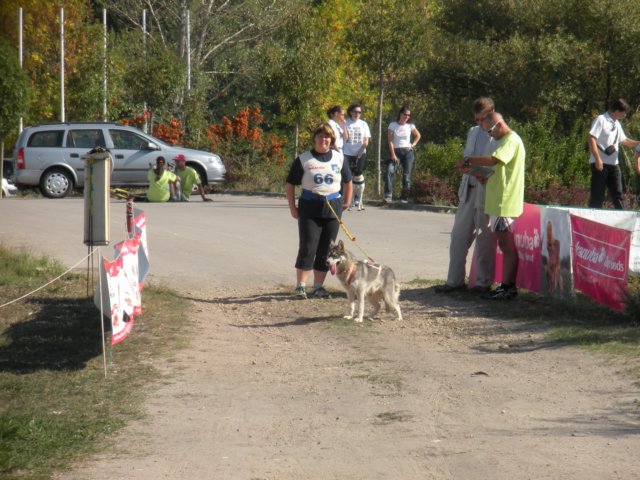 dscn0871.jpg