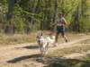 dscn0879_small.jpg